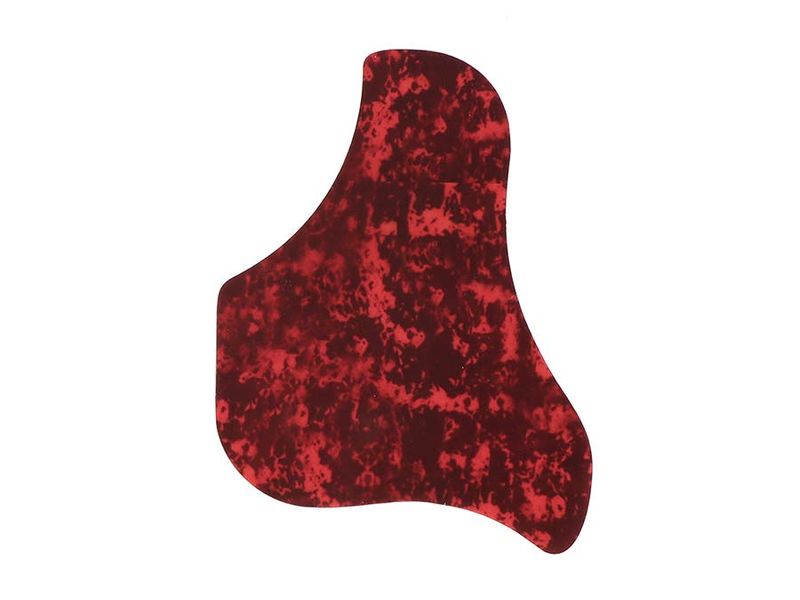 Sire A3GSNT Larry Carlton acoustic grand auditorium guitar with SIB electronics and cutaway